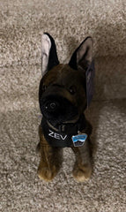 K9 Zev Stuffie