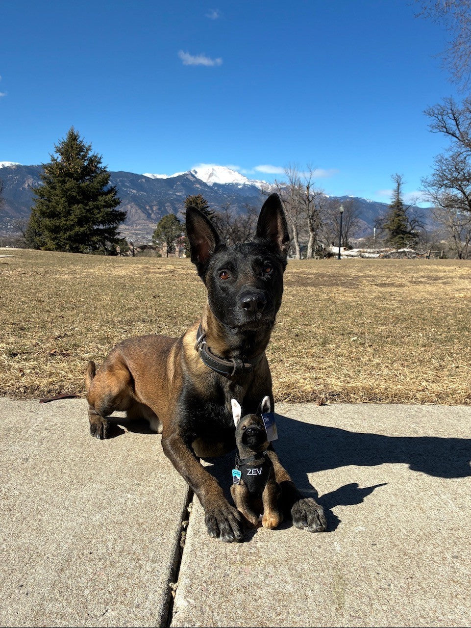K9 Zev Stuffie