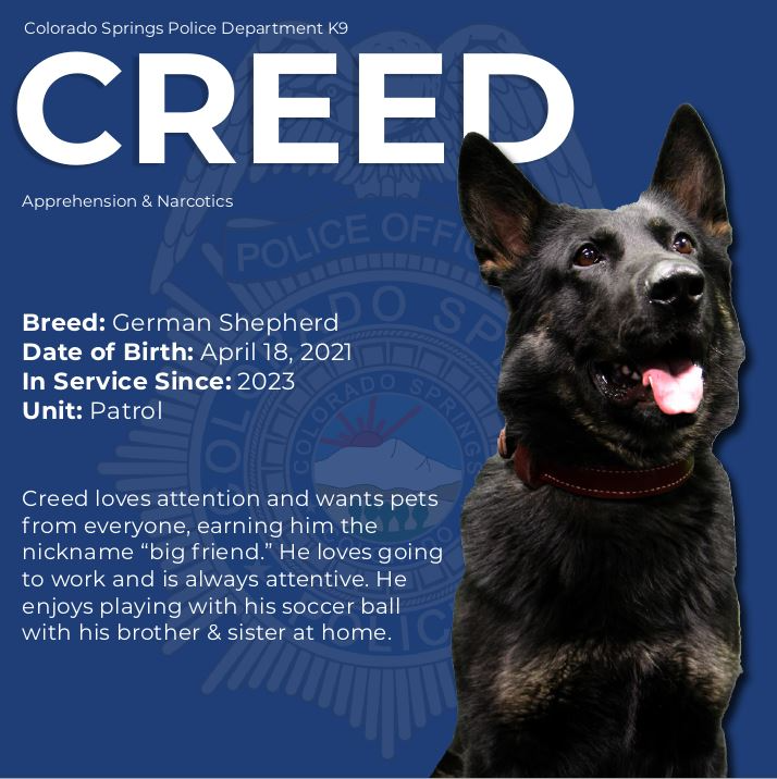 K9 Creed Stuffie