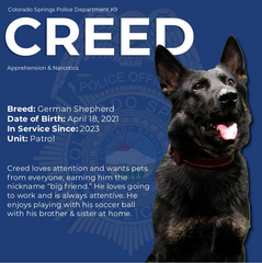 K9 Creed Stuffie