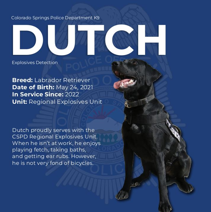 K9 Dutch Stuffie