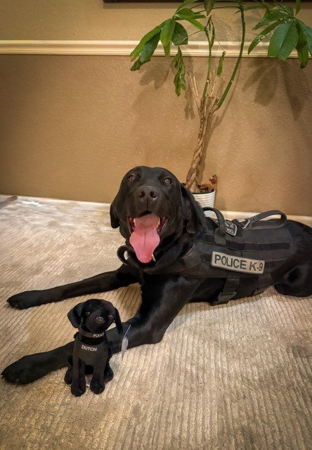 K9 Dutch Stuffie