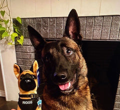 K9 Riggs Stuffie