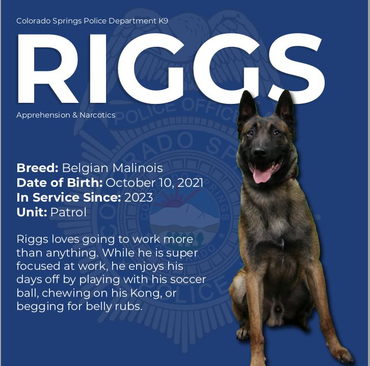 K9 Riggs Stuffie