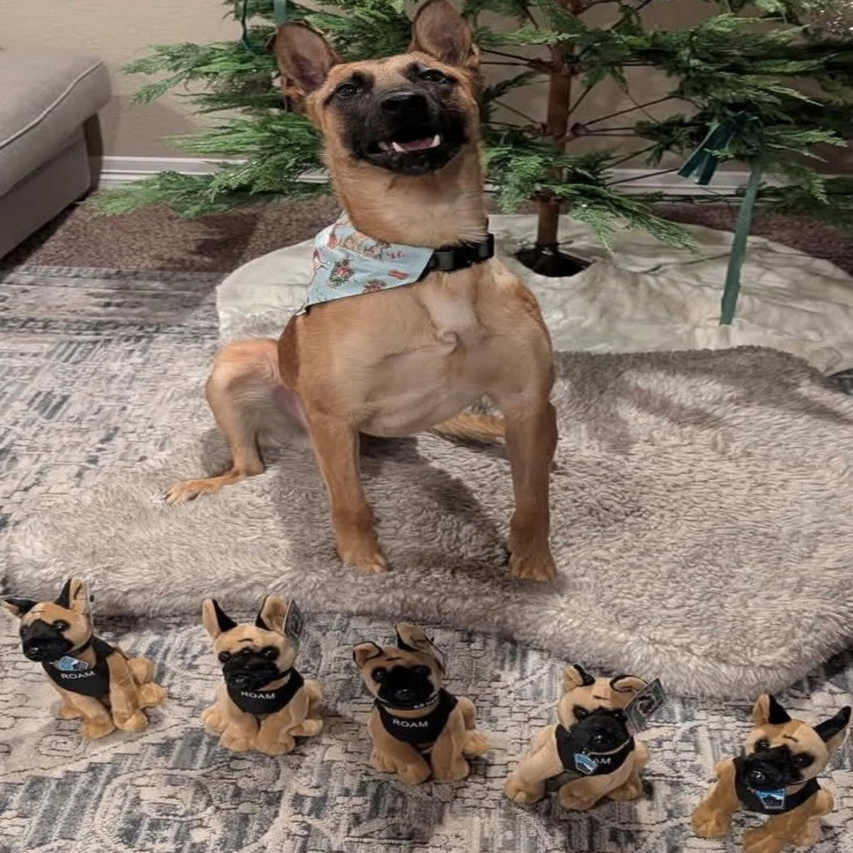 CSPD Ambassador K9 Roam Stuffie